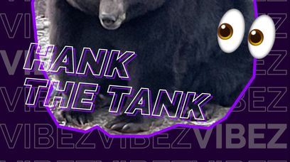 Ogromny niedźwiedź "Hank the Tank" na wolności zostanie drugim Harambe?