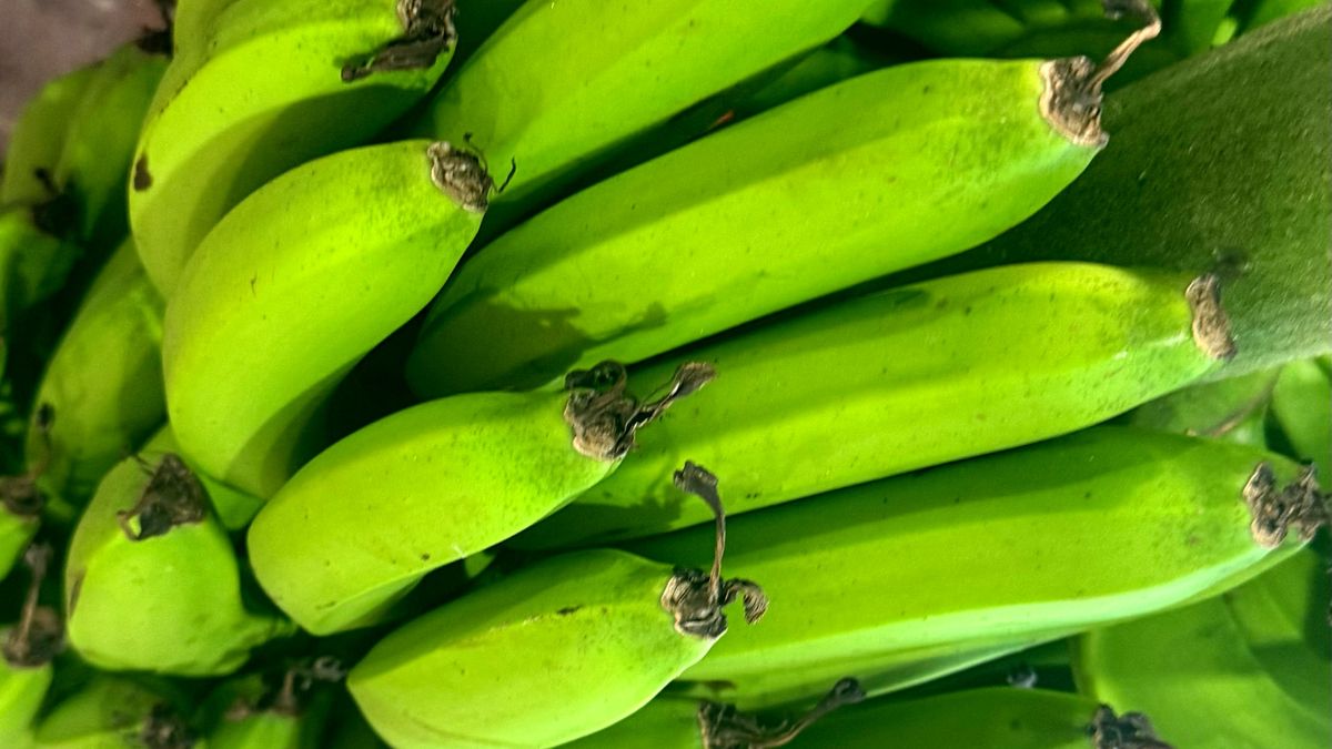 Ten „banan” działa w kuchni jak ziemniak. I to nie jest żart