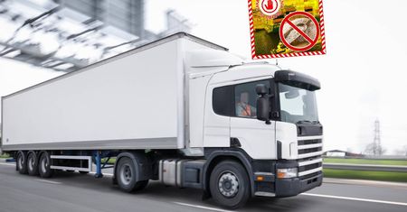 Służby zatrzymały ryż z Azji. Oto co było w środku