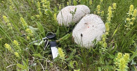 To nie fotomontaż. Sami spójrzcie, są ogromne. Zdjęcia z Bieszczad