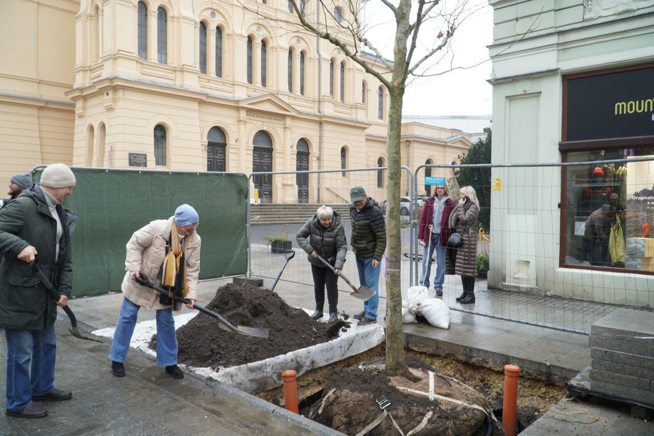 Łódź: Akcja na ul. Piotrkowskiej. Mieszkańcy sadzili platany