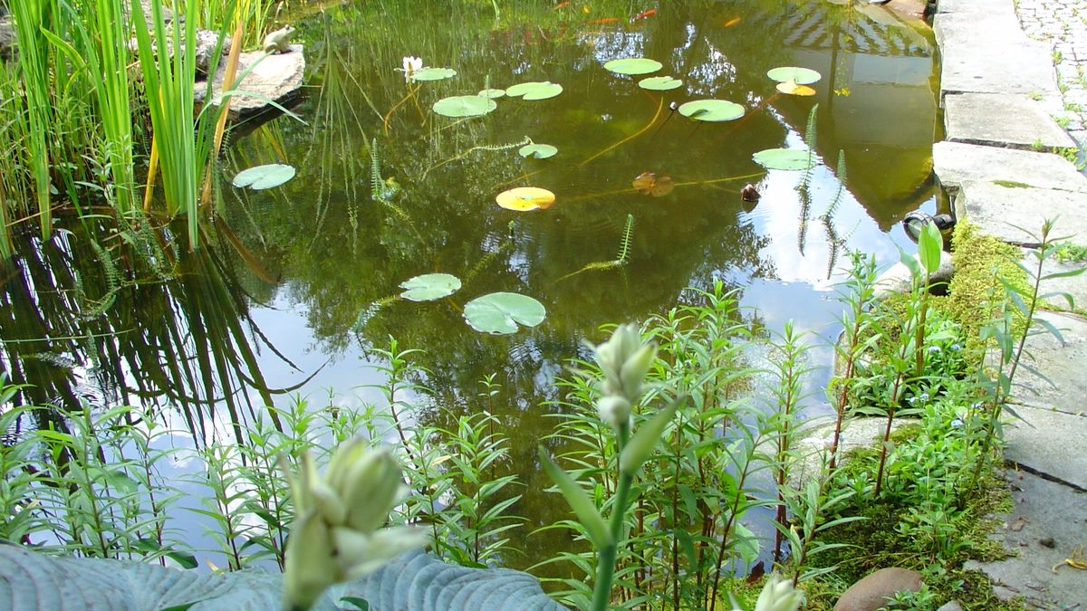 Program dofinansowania małej retencji ruszył 1 lipca.