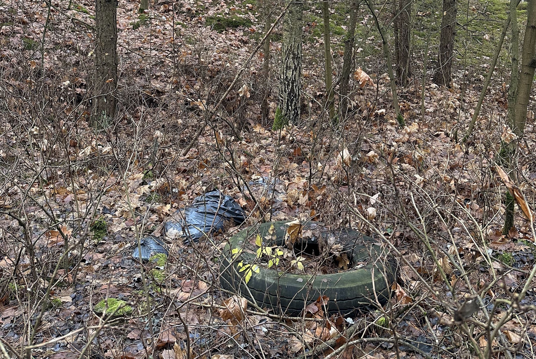 Stare opony to prawdziwa zmora polskich lasów