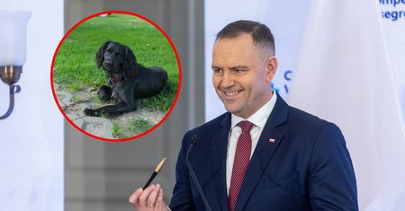 Nawrocki zawetował ustawę łańcuchową. Co sądzą o tym Polacy?