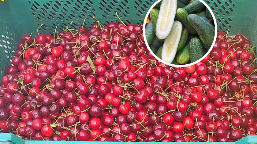 Inspektorzy ujawnili kolejne uchybienia na polskiej giełdzie