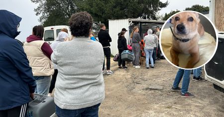 Tłumy w kolejce do schroniska. "To pierwsza taka sytuacja w historii"