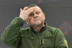 Rzecznik Zełenskiego zabrał głos. Chodzi o dymisję Załużnego [RELACJA NA ŻYWO]