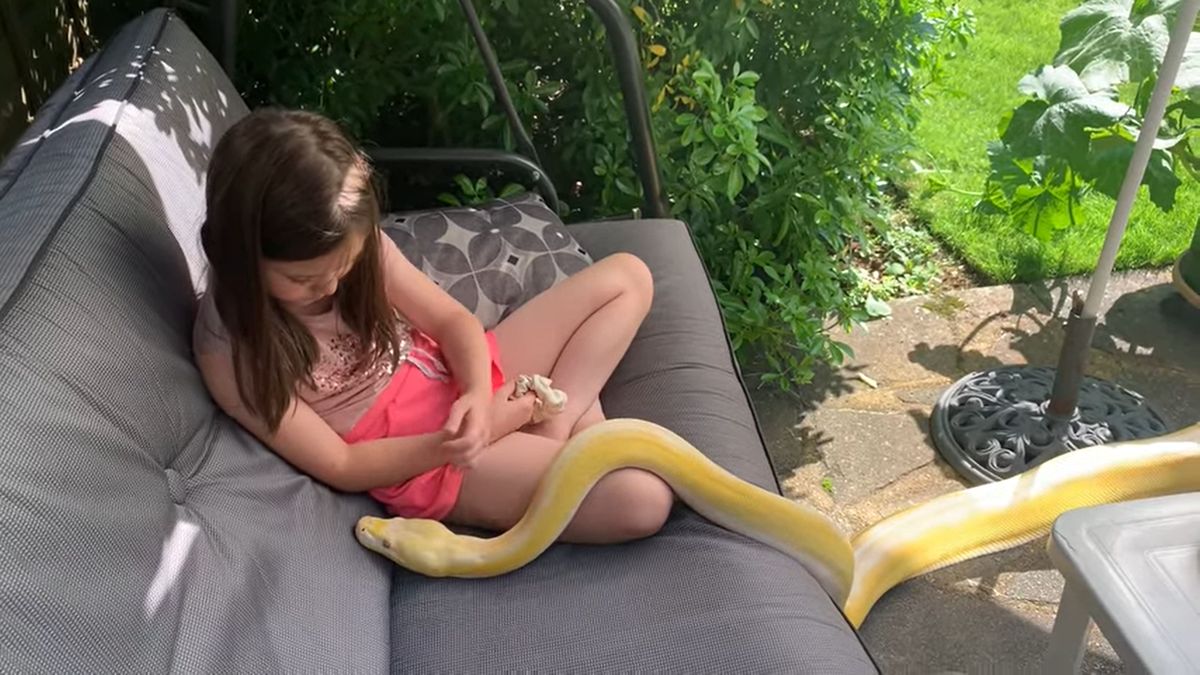 Dziewczynka traktuje węże jak rodzinę (YouTube)
