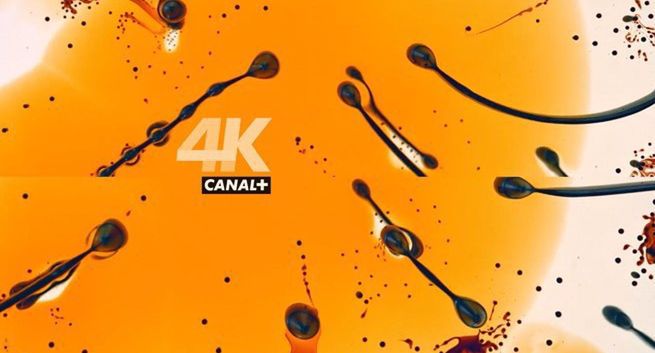 Przychody Canal+ rosną dzięki inwestycjom poza Francją