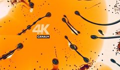 Przychody Canal+ rosną dzięki inwestycjom poza Francją