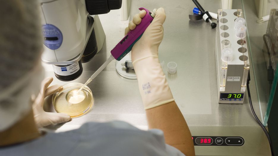 in vitro
