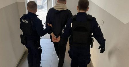 Wnuczek zamieszkał u babci. W końcu seniorka poszła na policję