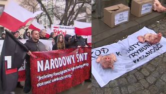 Kontrmanifestacja narodowców: Przynieśli... świńskie łby!