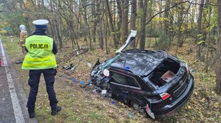 Witaszyn: Mazda uderzyła w drzewo. Kierowca zginął na miejscu