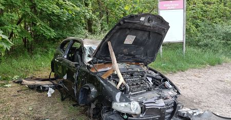 Leśnicy pokazali zdjęcia. "Coraz to ciekawsze znaleziska"