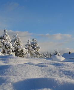 Zima za pasem? Śnieg już w najbliższy weekend