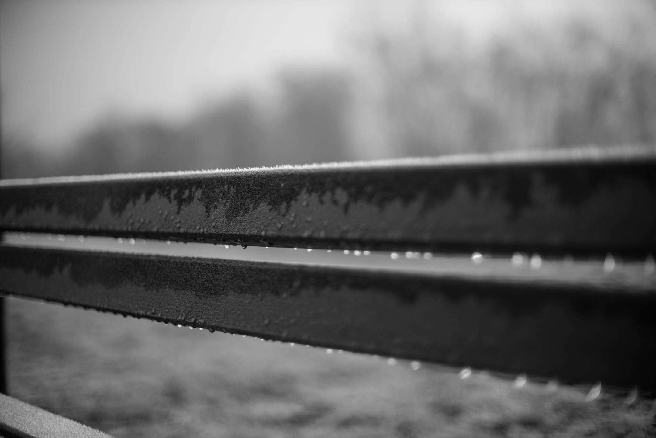 Voigtländer VM 50 mm f/1.1 Nokton - bardzo jasna pięćdziesiątka, która kreuje własną rzeczywistość [test] 24