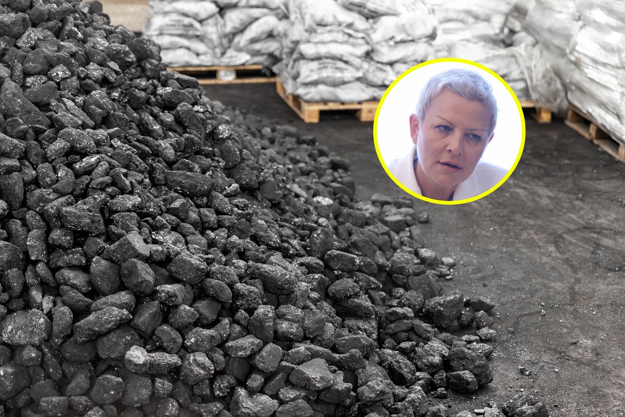 Wiceminister apeluje do Polaków: nie stójcie w kolejkach po węgiel. Oto co radzi