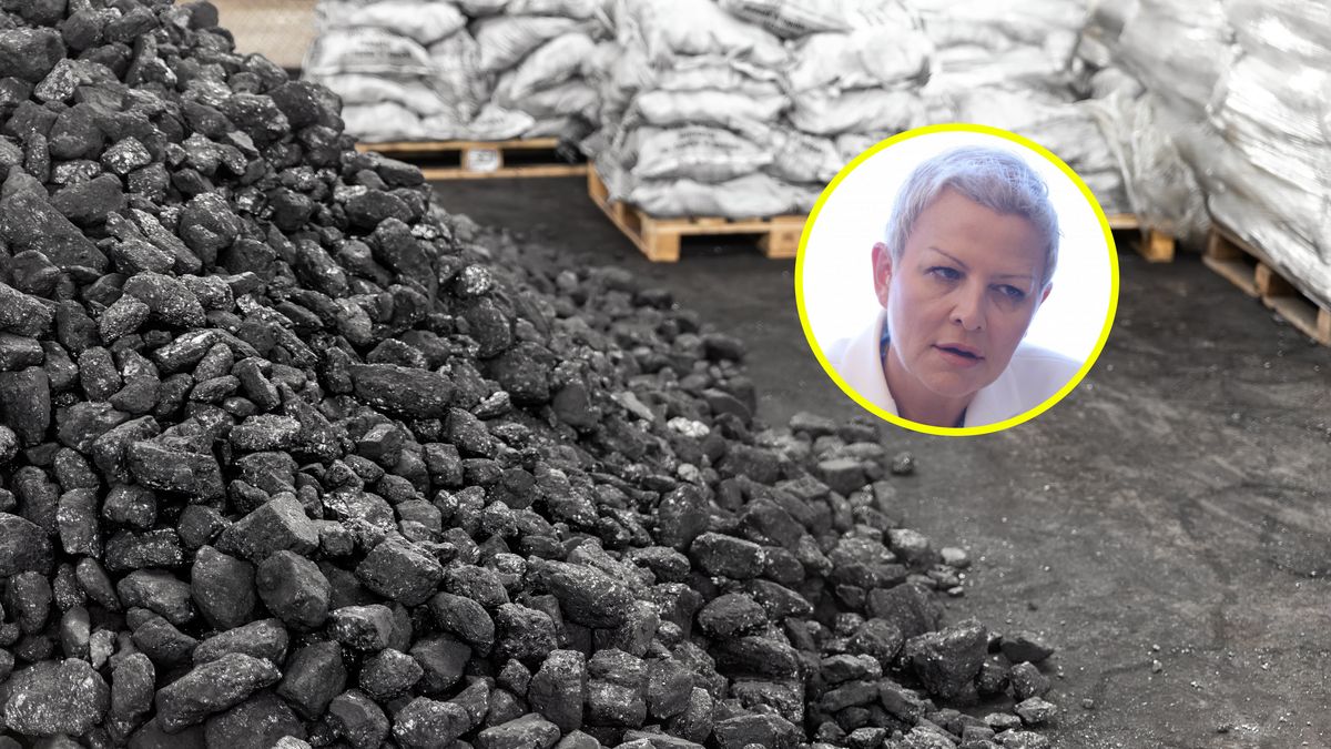 Na zdjęciu hałda węgla i nałożona na nią twarz Anny Łukaszewskiej-Trzeciakowskiej
