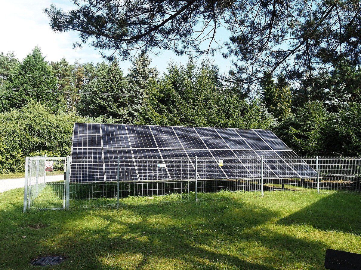 Koszt energii z wiatru spadł o 80, a z paneli o 99 proc. Źródła rozproszone to przyszłość