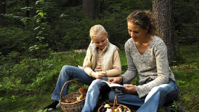 Uwaga na grzyby i niemyte jagody. Mogą być groźne dla dzieci