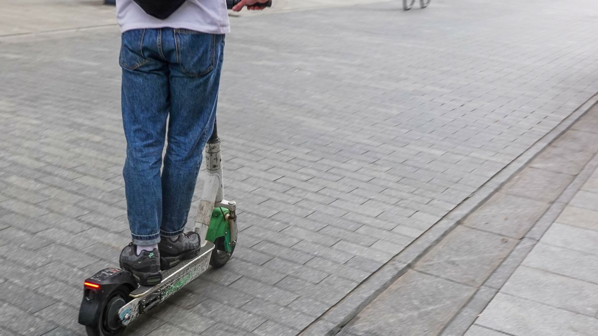 Psy zaatakowały chłopca na hulajnodze. Dziecko spadło do potoku. Zdj. ilustracyjne