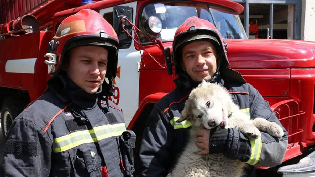 Uratowany piesek został ze strażakami 