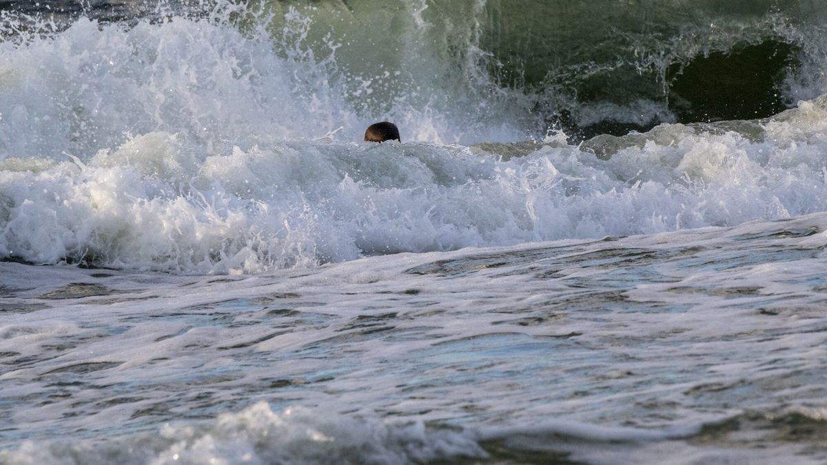 Kolejna taka tragedia na Teneryfie.