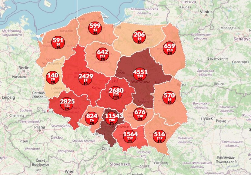 Koronawirus w Polsce zebrał kolejne śmiertelne żniwo. Mapa pokazuje niepokojące liczby