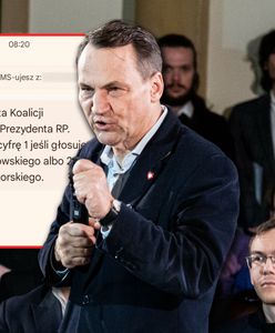 Wpadka w prawyborach KO. Wyciekł numer. Tak PiS chciało "strollować" głosowanie