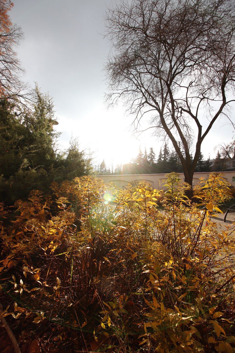 TEST: Canon EF-S 10-18 mm f/4.5-5.6 IS STM – miła niespodzianka! 24
