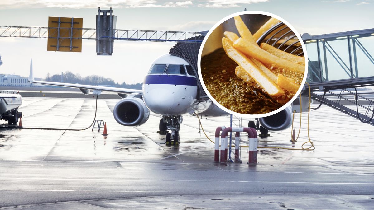 Zużyty olej kuchenny to jeden z surowców do produkcji zrównoważonego paliwa lotniczego (SAF)