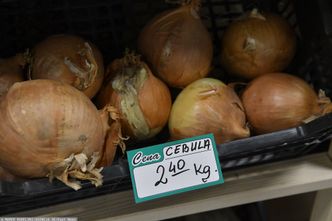 "Polska cebula" z Egiptu. Rząd chce ukrócić praktykę sieci handlowych