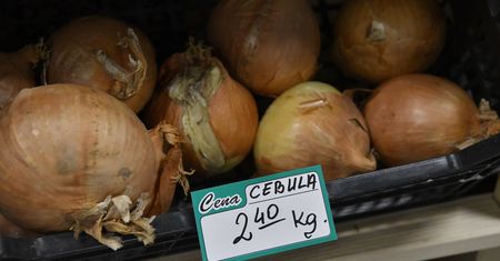 "Polska cebula" z Egiptu. Rząd chce ukrócić praktykę sieci handlowych