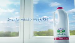 Piątnica reklamuje Mleko Wiejskie jako świeże i naturalne (wideo)