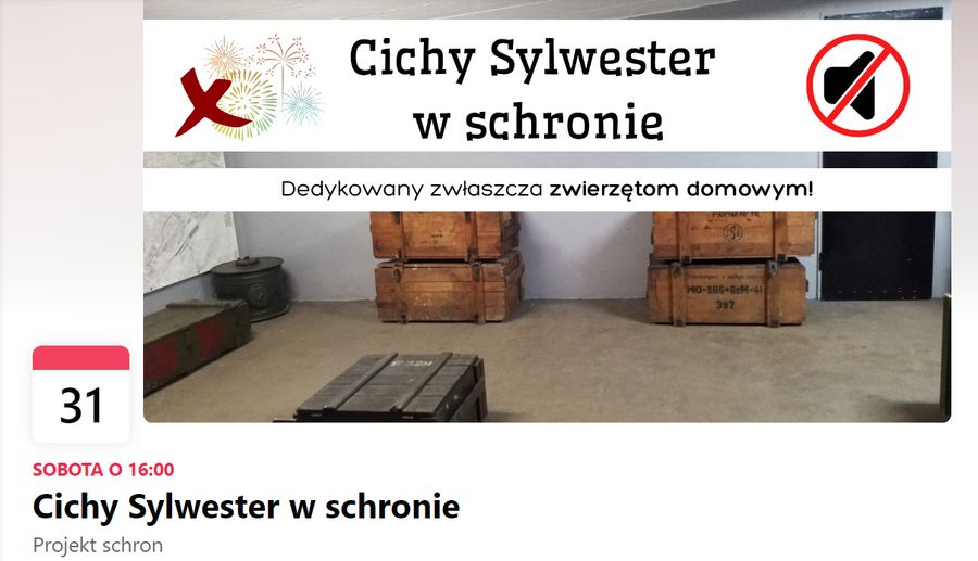 Sylwester w schronie