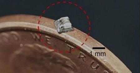 Chip do "kontroli umysłów”? Japończycy opracowali odpowiednią technologię