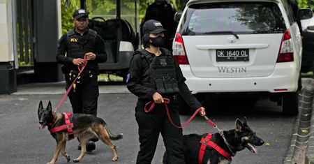 Złapany na Bali. Celnicy na lotnisku osłupieli, kontrolując podróżnego