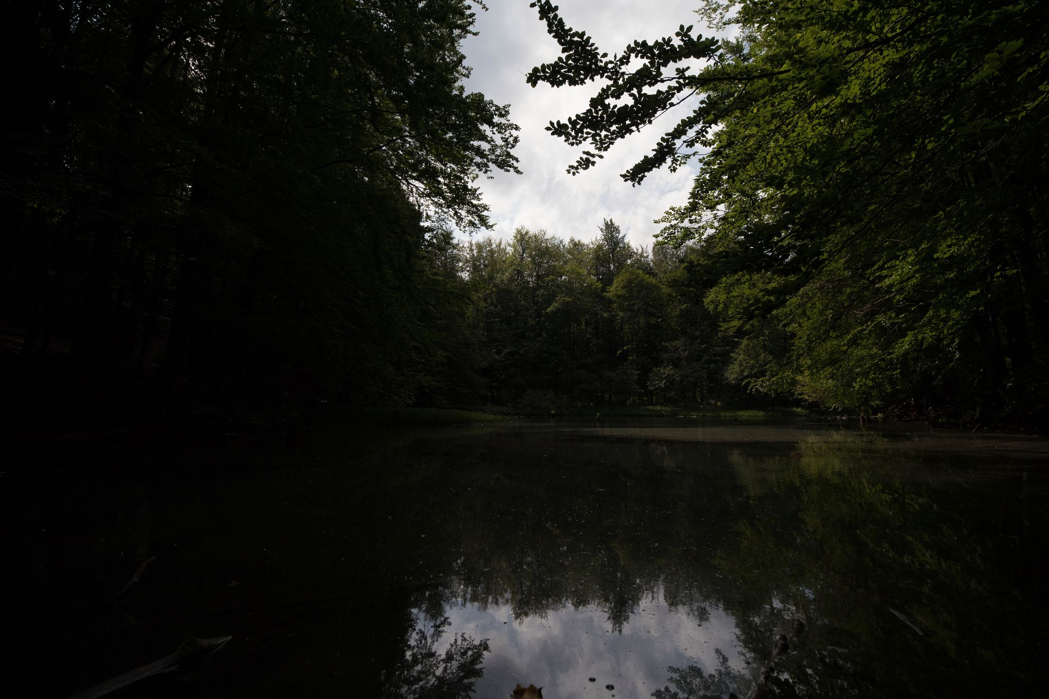 Canon EOS 6D Mark II - test następcy popopularnej pełnoklatkowej lustrzanki 88
