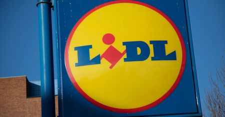 Nowy biznes właściciela Lidla. Niemcom marzy się prawdziwa flota