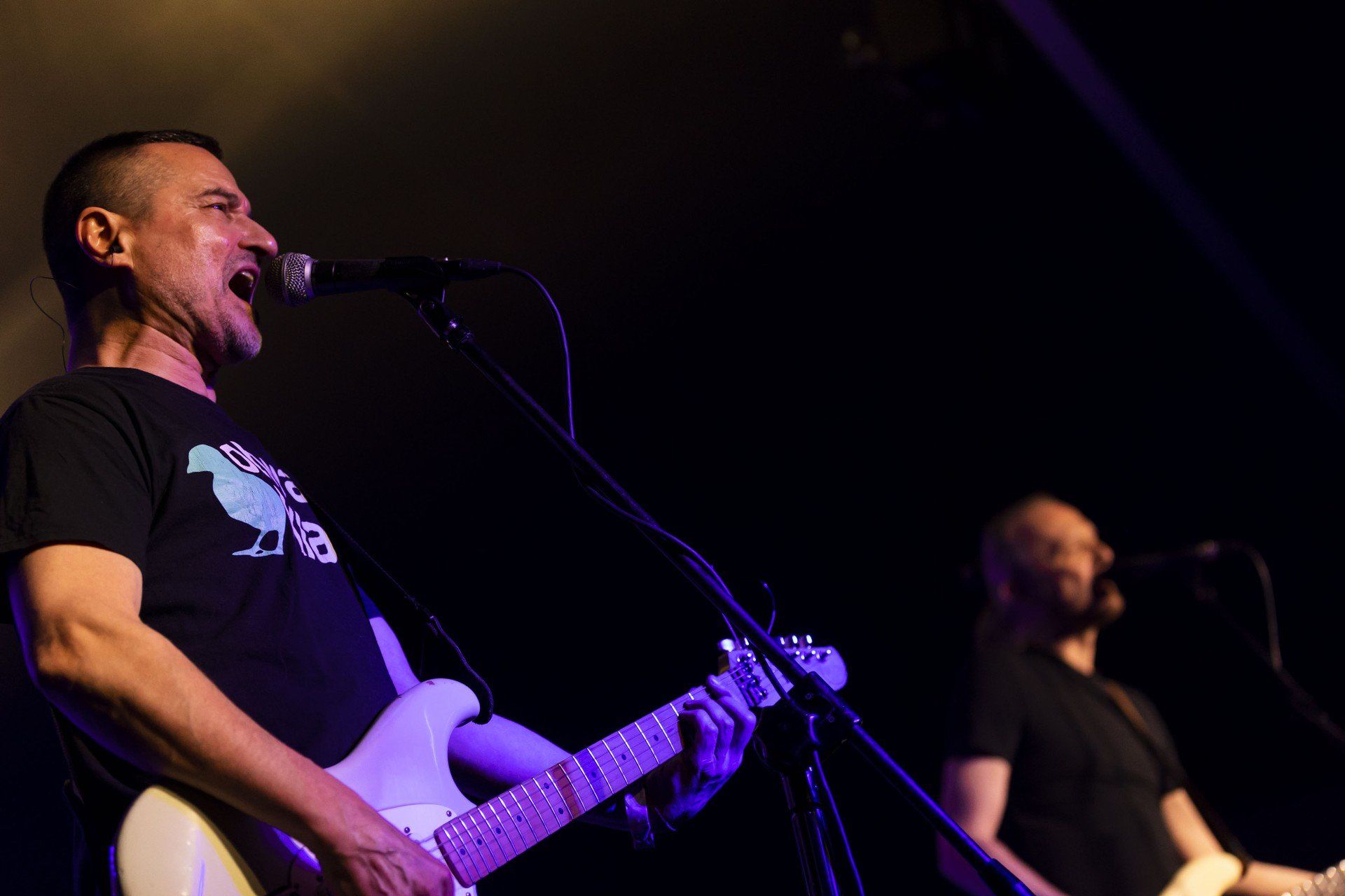 Na scenie w Siarach wystąpi legenda polskiego punk rocka - Dezerter, a wraz z nimi zagrają Ga-Ga/Zielone Żabki, Party 5 oraz 33 Trzysta