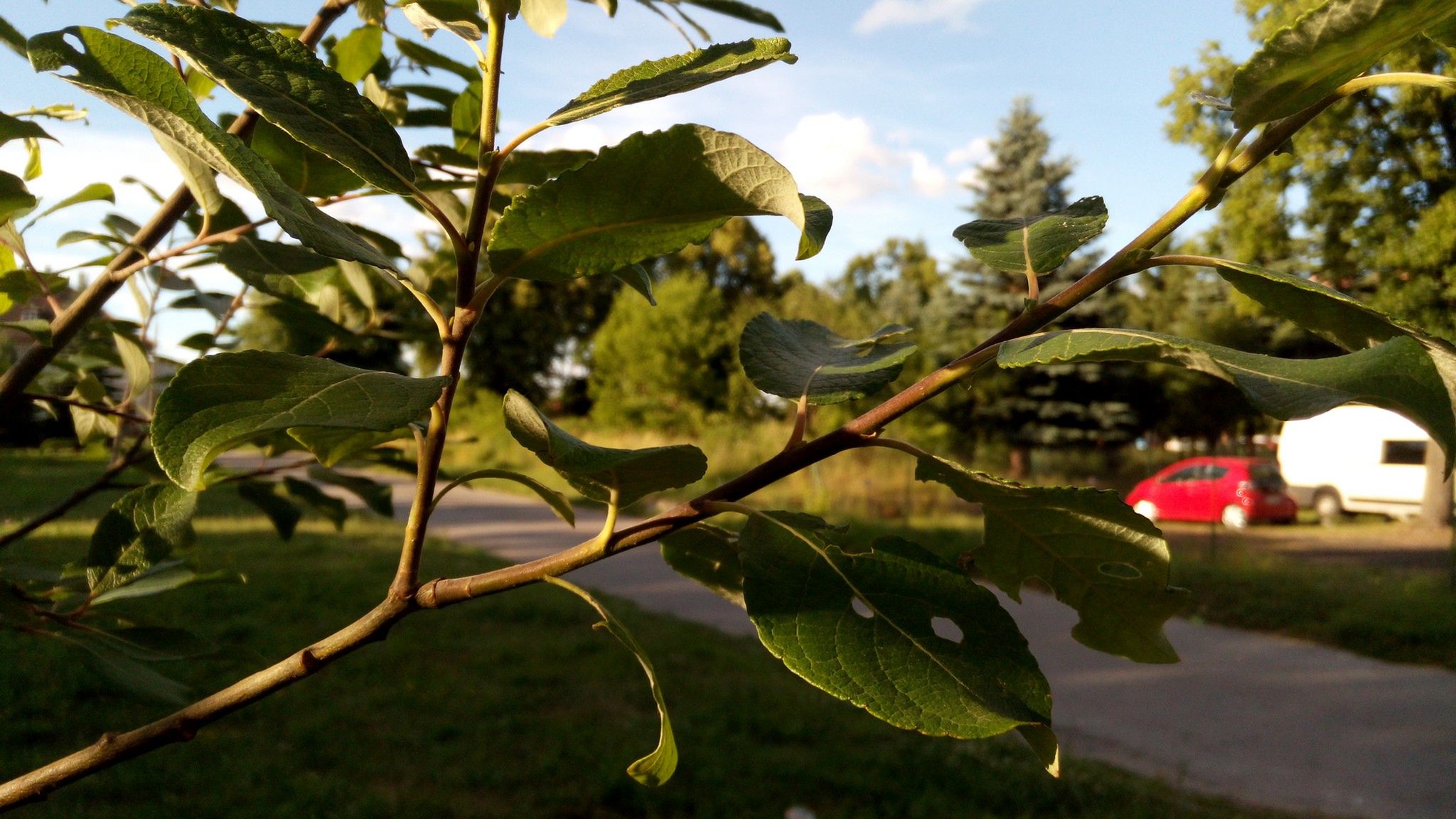 Test Alcatel One Touch Idol Alpha.  Za drogi na średniaka, za słaby na flagowca 24