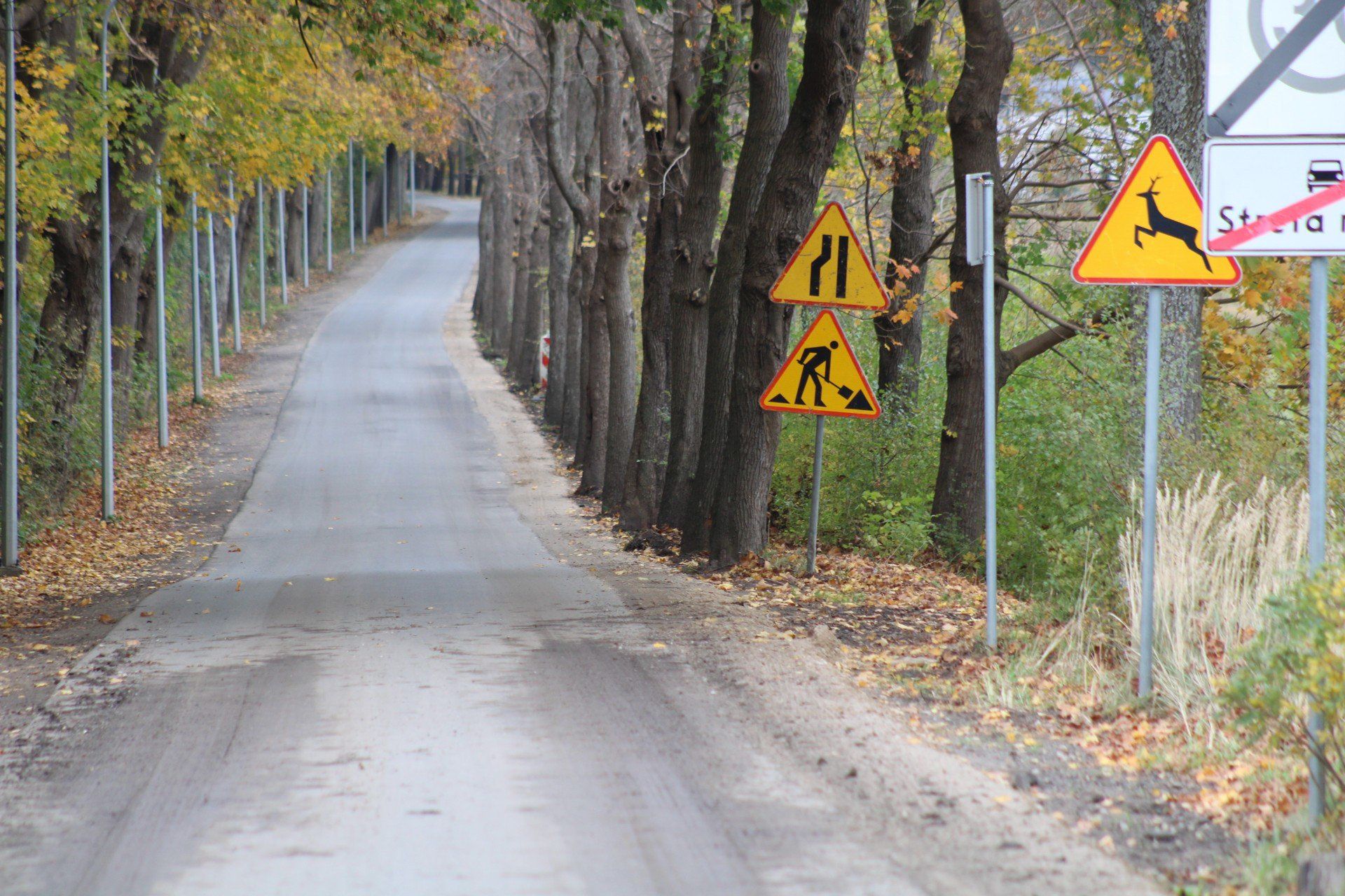 Interwencja, temat naprawy drogi pomiędzy Jamnem a Łabuszem