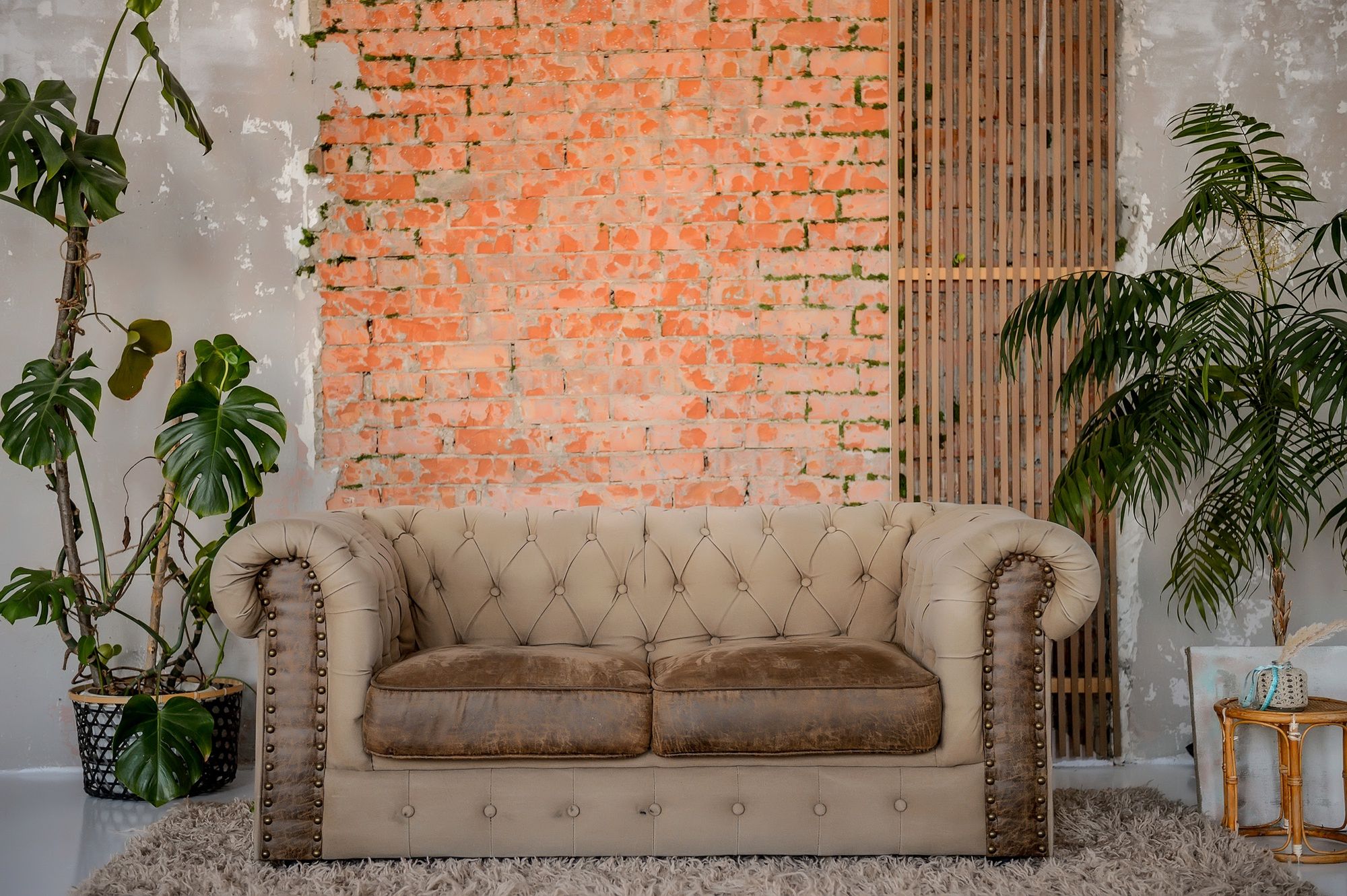 sofa