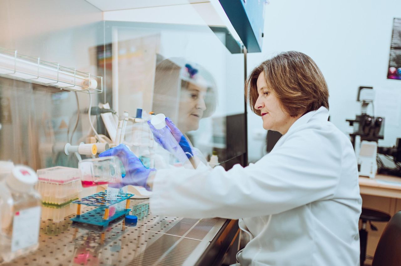 Zwyrodnienie stawów odbiera sprawność milionom Polaków. Opracowują nowy lek