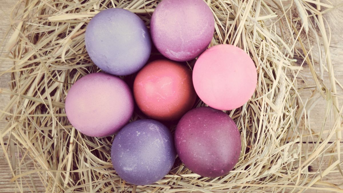 Jajka w odcieniach fioletu zapewnia hibiskus