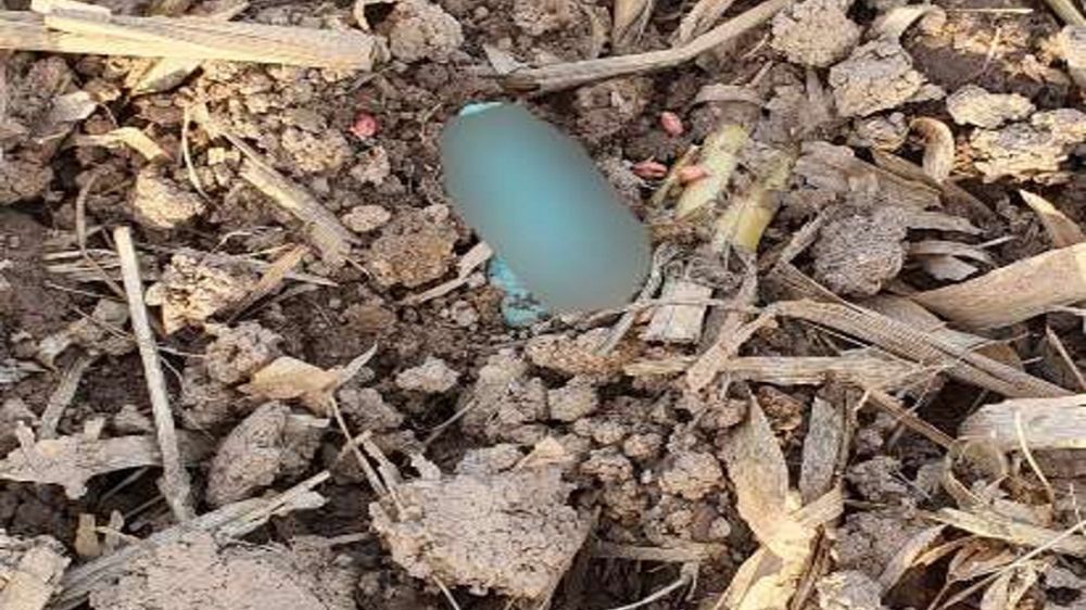 Łucja ze znaleziskiem