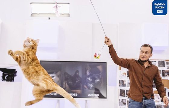 Nowy rozrywkowo-naukowy program „Sekretne życie kotów” od 28 marca w TVP1