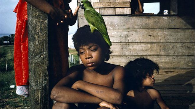 Alex Webb - opowiada o fotografii i życiu 1