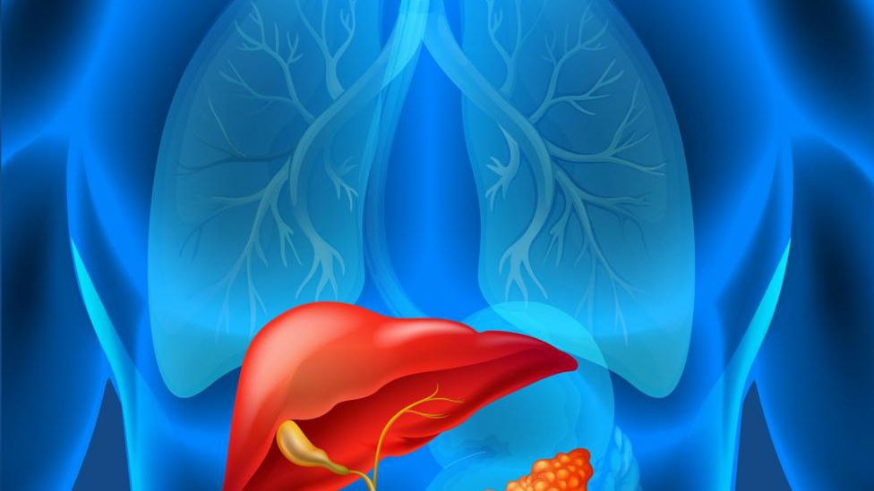 Te produkty spożywcze wspierają pracę trzustki i chronią ją przed chorobami